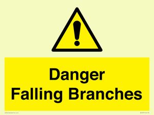 Danger Falling Branches